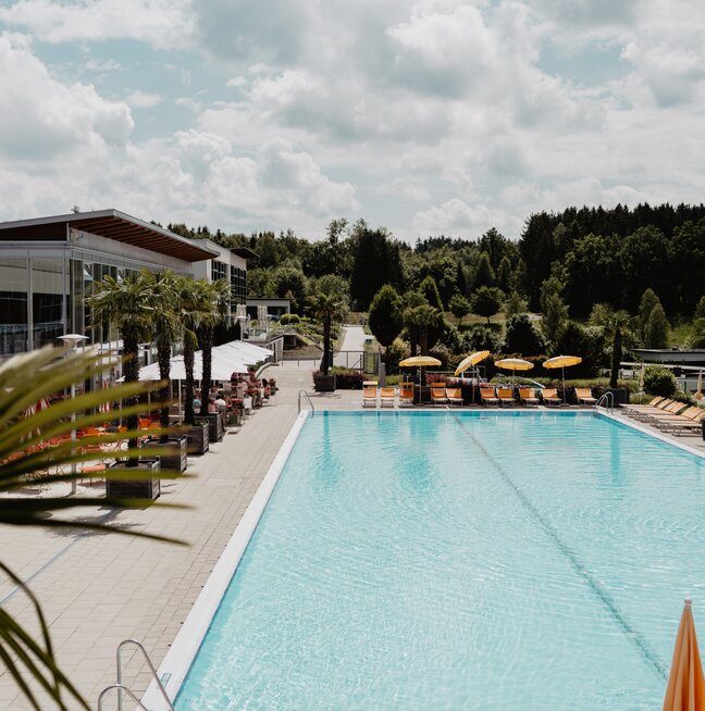 Sport-Becken mit Palmen und orangen Liegen in der Therme des Spa Resort Geinberg | © Spa Resort Geinberg / Chris Perkles